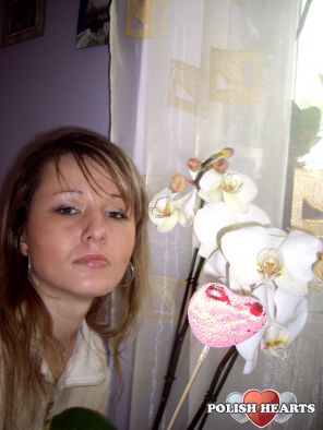 gosienka227