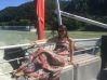 Emilia_83